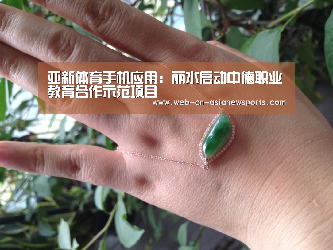 亚新体育手机应用:丽水启动中德职业教育合作示范项目(图2) 亚新体育App下载